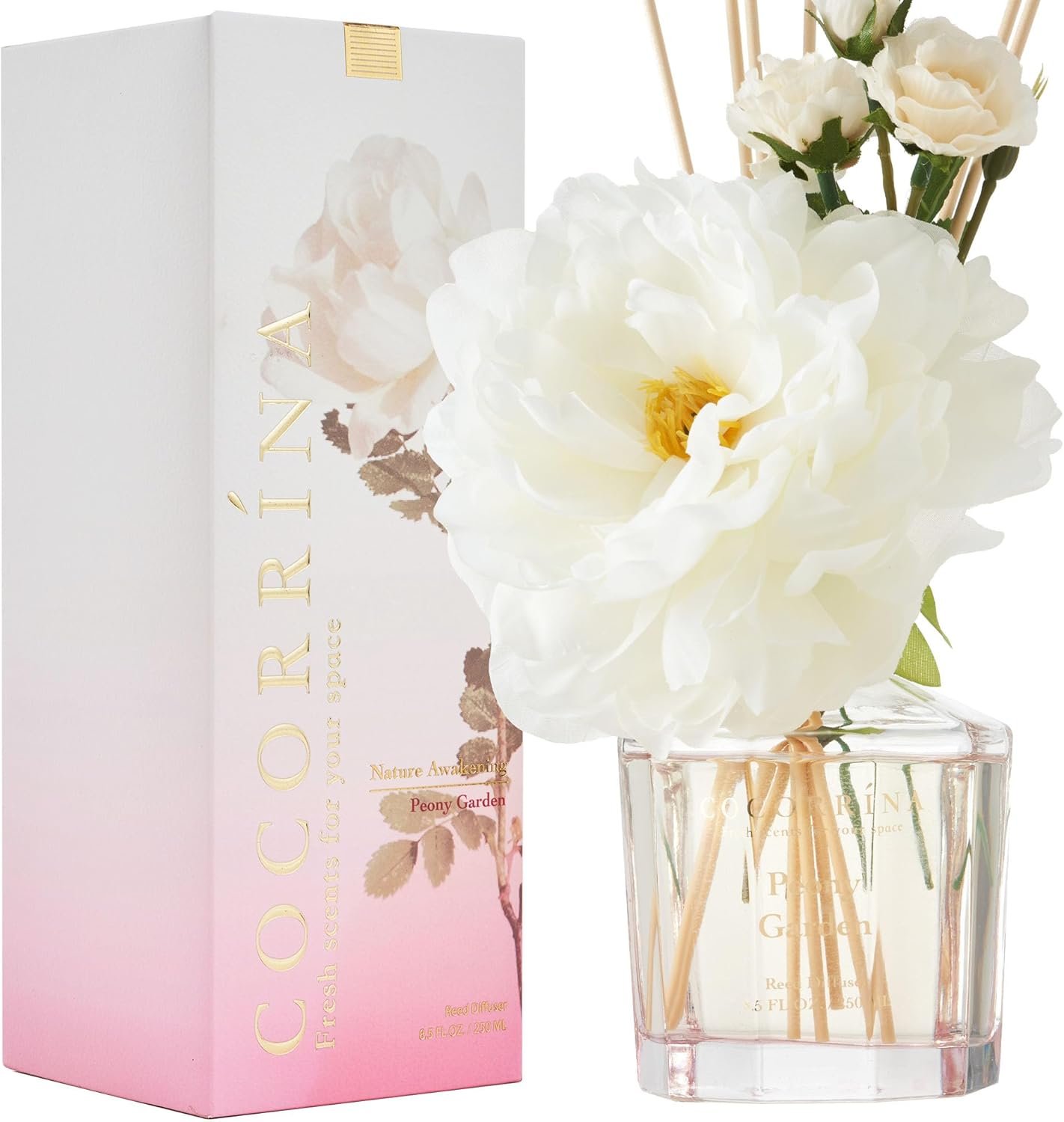COCORRÍNA Reed Diffuser – Peony Garden 8.5oz Flower Reed Diffuser Set with 8 Sticks, Home Fragrance Reed Diffuser for Home Bedroom Office Bathroom Shelf Decor (Master Collection)