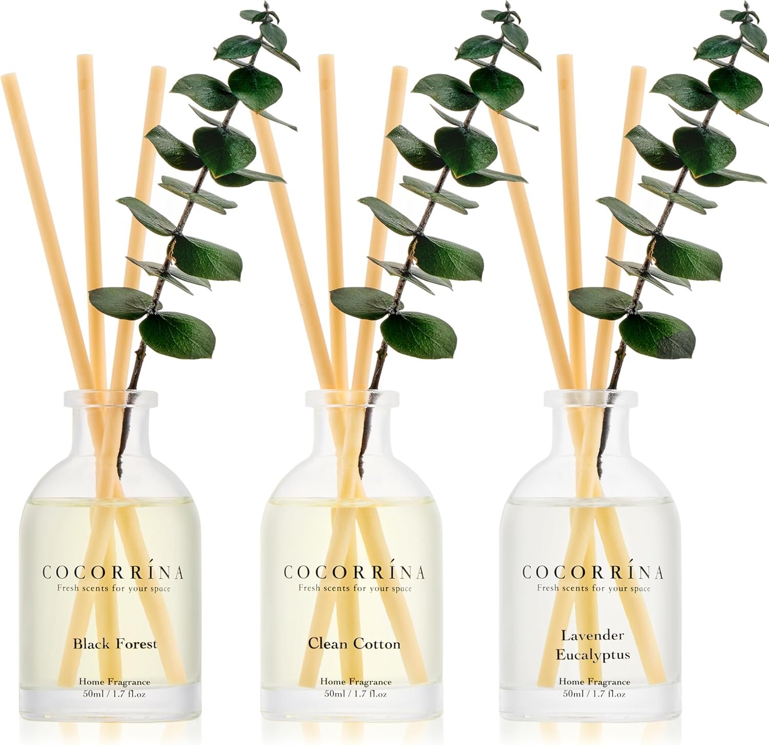 COCORRÍNA Eucalyptus Reed Diffuser Set of 3 – Lavender Eucalyptus, Black Forest, Clean Cotton Scents, 1.7 fl oz Each, Total 5.1 oz, Scented Oil Diffusers for Home & Office﻿